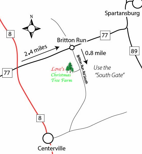 Detail_map